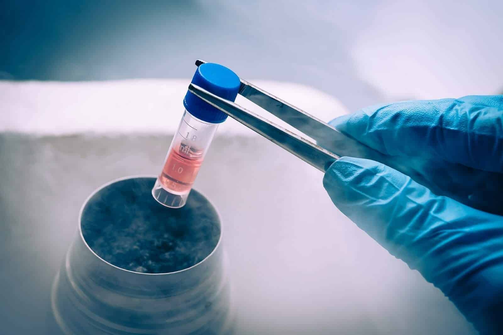Schemat regeneracji neuronów słuchowych Schemat procesu wzrostu nowych neuronów słuchowych z komórek macierzystych