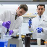 img 3421 terapia genowa ucho myszy 1770430104